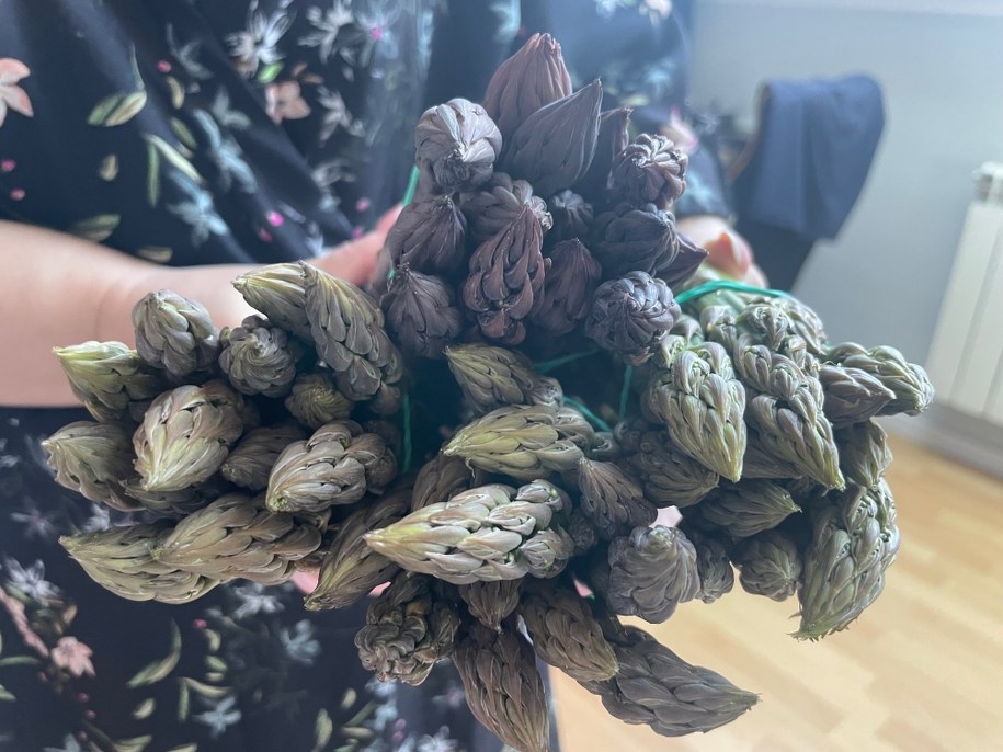 /Magdalena Grajnert /RMF FM