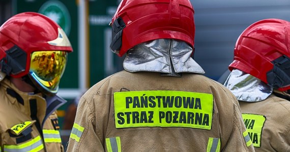 W nocy z piątku na sobotę pożar strawił wiatę magazynową tartaku we wsi Delowo w gminie Stężyca (woj. pomorskie). Straty oszacowano na ok. 3 mln zł. W pożarze nikt nie ucierpiał.