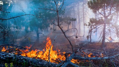 Alert RCB dla powiatów trzech województw