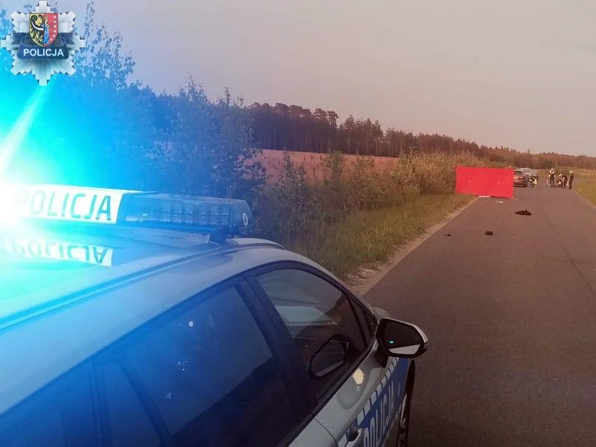 Tragiczny wypadek na drodze Tarnówek - Krzydłowice w województwie dolnośląskim. Osobówka zderzyła się tam w rowerzystą. Cyklista zginął na miejscu. 