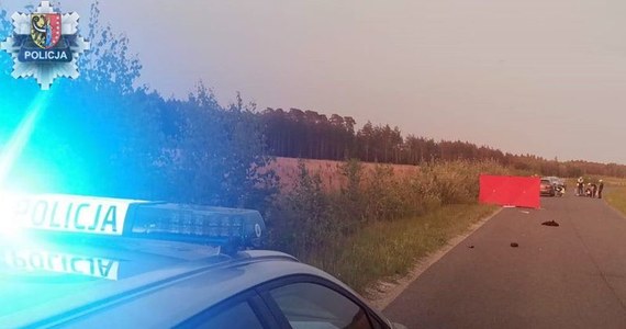 Tragiczny wypadek na drodze Tarnówek - Krzydłowice w województwie dolnośląskim. Osobówka zderzyła się tam w rowerzystą. Cyklista zginął na miejscu. 