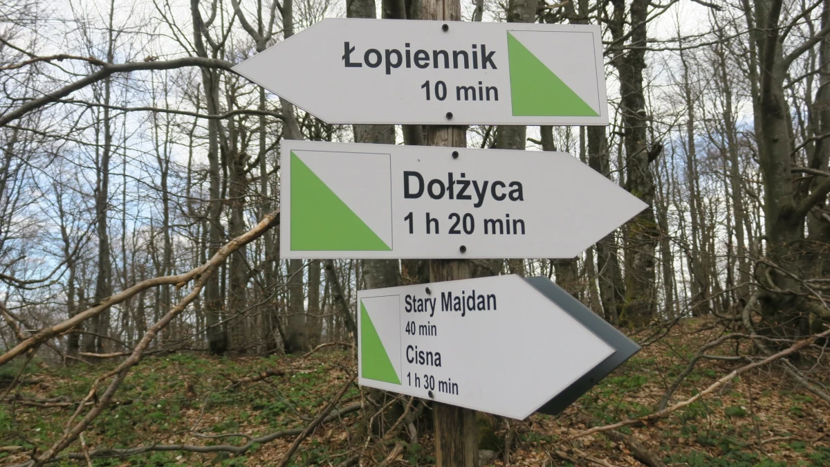 Na bieszczadzki szczyt Łopiennik (1069 m) turyści mogą wejść nowym szlakiem. Ścieżka powstała z inicjatywy gminy Cisna we współpracy z miejscowym nadleśnictwem.