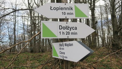 W Bieszczadach powstała nowa ścieżka na Łopiennik
