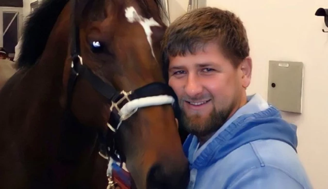 Szczęście Kadyrowa. Odzyskał ukochanego konia z Czech