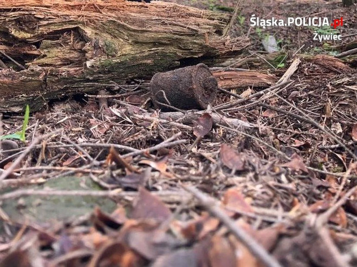 ​Granat ręczny, pochodzący najprawdopodobniej z okresu II wojny światowej, został znaleziony w Rychwałdku - podała rzecznik żywieckiej komendy powiatowej asp. szt. Mirosława Piątek. Jak dodała, zostanie zabrany przez saperów.