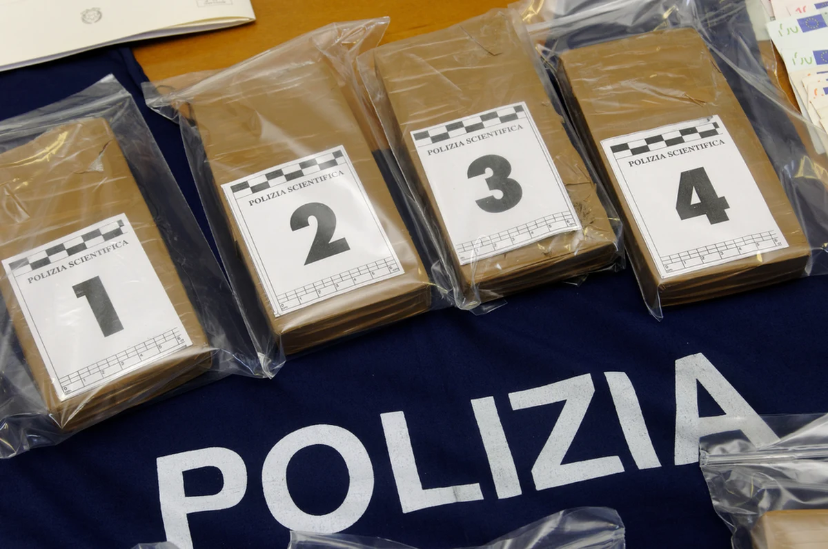 Prawie 3 tony najczystszej kokainy wartej 800 mln euro skonfiskowała włoska Gwardia Finansowa w porcie Gioia Tauro w Kalabrii. W operacji brała udział chluba tamtejszych funkcjonariuszy - pies Joel.