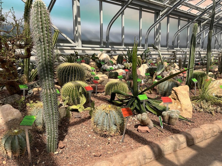 /Paweł Pyclik /RMF FM