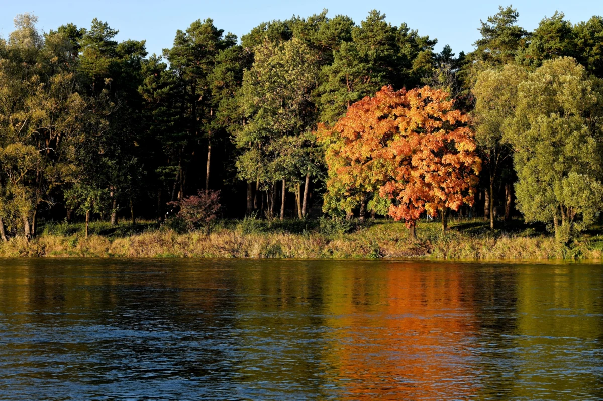 Ponad 190,5 mln zł kosztować będzie budowa nowego mostu przez San w Jarosławiu na Podkarpaciu. Wykonawcą przeprawy, której budowa ruszyła we wtorek, jest firma Mosty Łódź. Inwestycja ma być gotowa w drugiej połowie 2025 r.