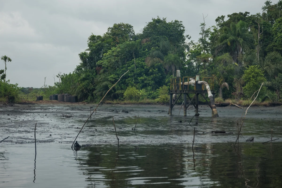 Działalność koncernów petrochemicznych powoduje katastrofę ekologiczną w Nigerii. Lasy pokrywa czarna warstwa ropy, a groźne zanieczyszczenia wykryto nawet w krwi mieszkańców regionu Bayelsa. To przerażające wnioski z najnowszego raportu Bayelsa State Oil and Environmental Commission. 