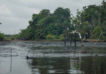 Katastrofa ekologiczna w Nigerii. Lasy pokrywa warstwa ropy 