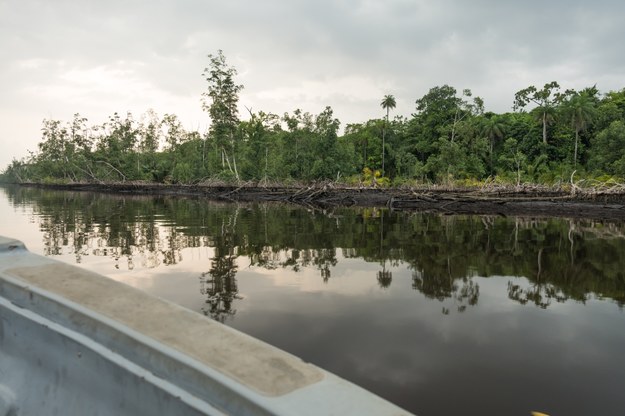 /© Bayelsa State Oil and Environmental Commission /