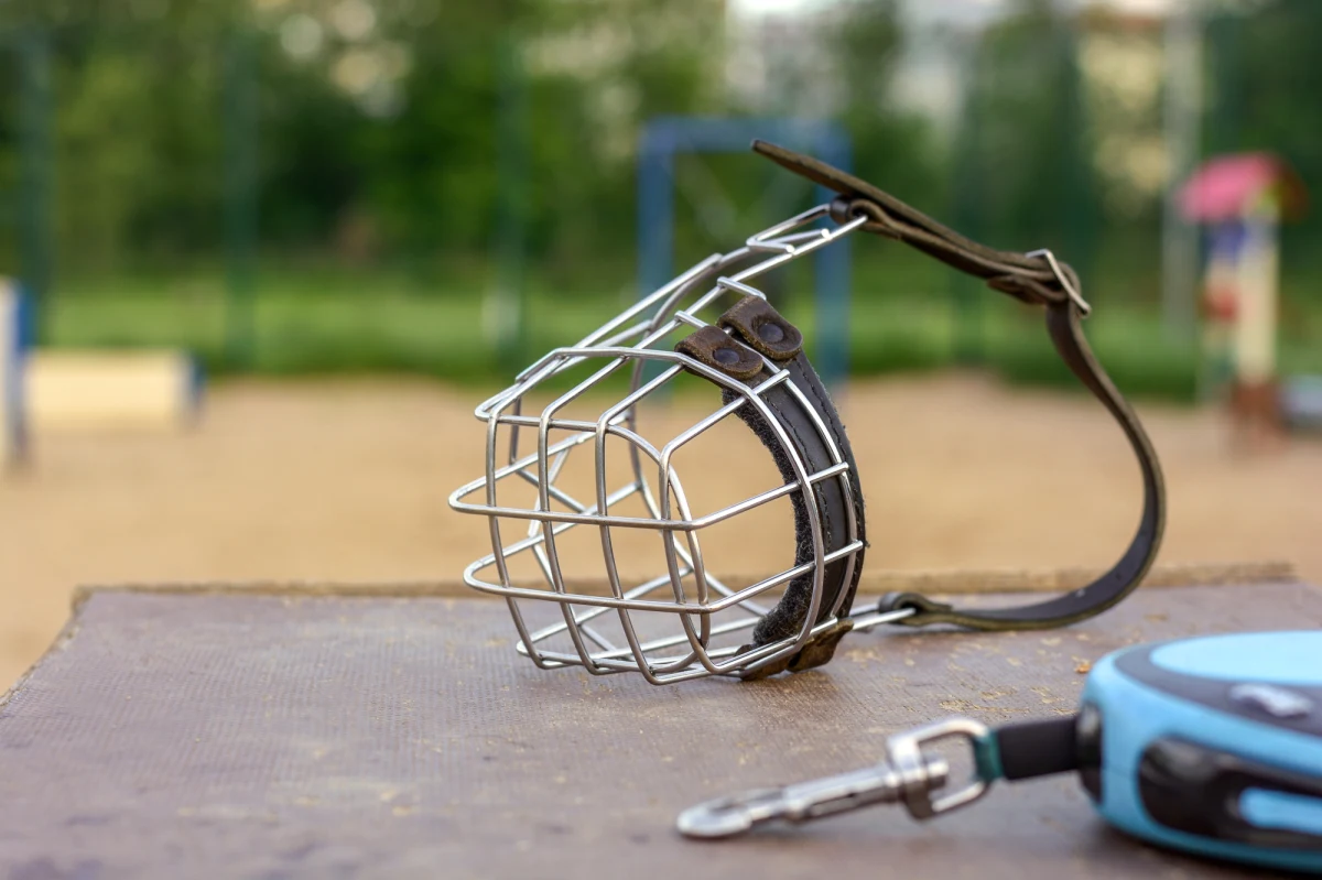 25-latek z Krakowa strzelał z broni ASG do psa, a później do jego 38-letniego właściciela. Zaatakowany mężczyzna doznał obrażeń. Do zdarzenia doszło w sobotę w rejonie Lasku Krzyszkowickiego. Policjanci w mieszkaniu 25- latka zabezpieczyli marihuanę, a w samochodzie broń ASG. Zatrzymany usłyszał zarzuty, za które grożą mu 3 lata pozbawienia wolności.