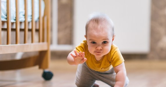 Trzy miesiące spędzi w areszcie ojciec pobitego 9-miesięcznego chłopczyka z Tomaszowa Mazowieckiego w Łódzkiem - zdecydował sąd. Mężczyzna odpowie za znęcanie się nad synem i nieudzielenie mu pomocy. Natomiast matka usłyszała zarzut, że naraziła dziecko na niebezpieczeństwo utraty życia, chociaż powinna opiekować się niemowlęciem.

