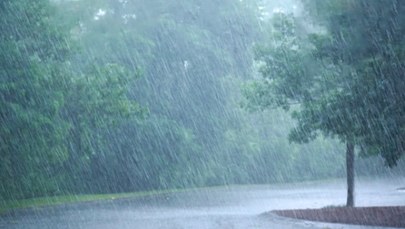 "Skoki na wykresach powoduje deszcz". Państwowa Agencja Atomistyki uspokaja