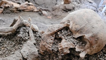 Szkielety dwóch mężczyzn w Pompejach. Zginęli w trzęsieniu ziemi