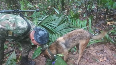 Nieznany los 4 dzieci w kolumbijskiej dżungli. Prezydent usunął wpis 
