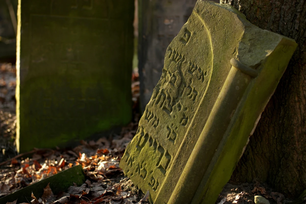 475 fragmentów macew pochodzących z dawnego cmentarza żydowskiego w Bełchatowie opisali i udokumentowali fotograficznie naukowcy z Centrum Badań Żydowskich Uniwersytetu Łódzkiego. Dzięki projektowi naukowców, rodziny po 80 latach od zagłady społeczności żydowskiej, odnalazły nagrobki swoich bliskich.