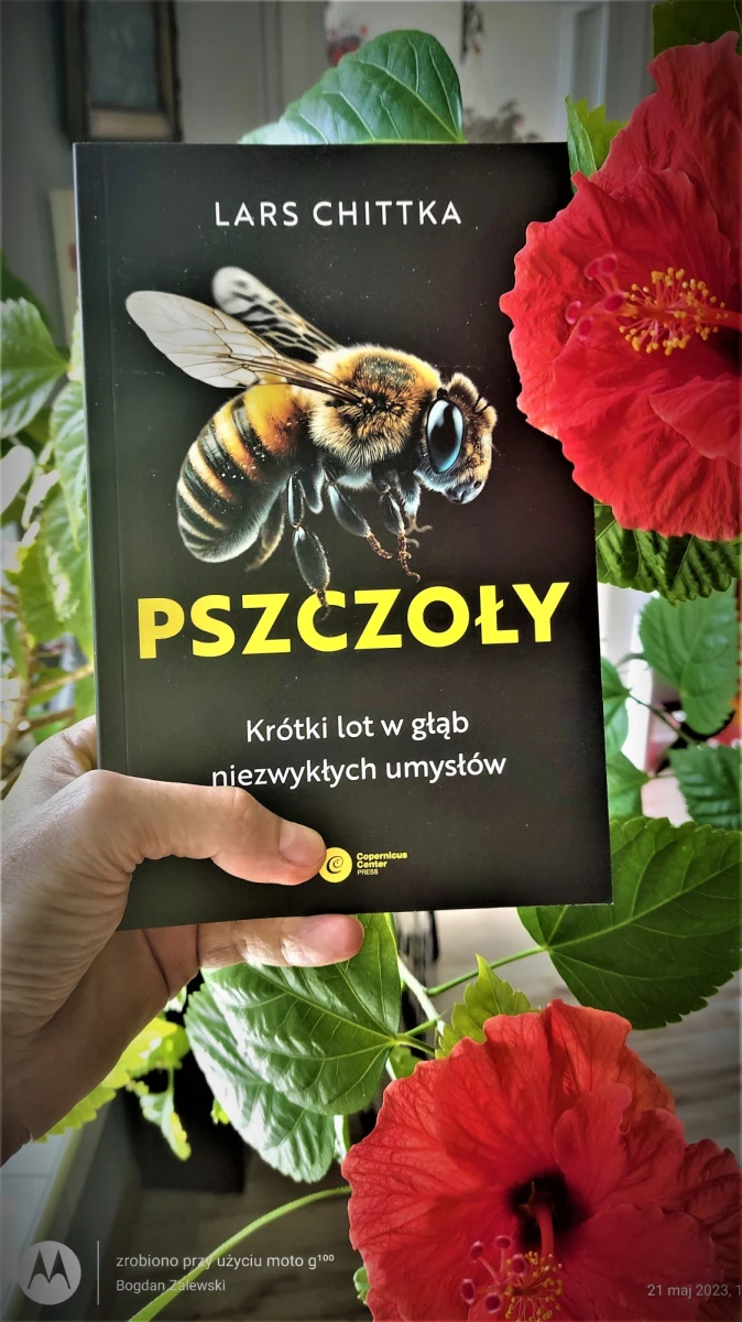 Czytam książkę, która otwiera mi oczy. Tak, bym widział wszystko na pszczeli sposób. Wyzwala we mnie nagłą potrzebę innego spojrzenia na siebie i dookolny świat. Spaceruję na słońcu po łąkach mojej rodzimej Nowej Huty. Zmierzam do moich rodziców mieszkających kilka osiedli dalej i myślę - jak pszczoła - o roju moich krewnych i przyjaciół. Mój mały glob. Przyśpieszam kroku i niemal lecę do mamy i taty. Odwiedziny u rodziny? Raczej lot do Pszczoły-Matki i Ojcowskiego Ula.   