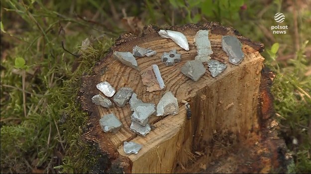 Sprawa rosyjskiej rakiety nadal budzi emocje. Jak się okazuje, nie tylko polityczne. W Zamościu pod Bydgoszczą kwitnie turystyka rakietowa. Miejsce, gdzie spadła rakieta odwiedzają ludzie z całej Polski. Jedni robią zdjęcia, drudzy szukają jej szczątków. Dla ''Wydarzeń'' Anna Hałas.