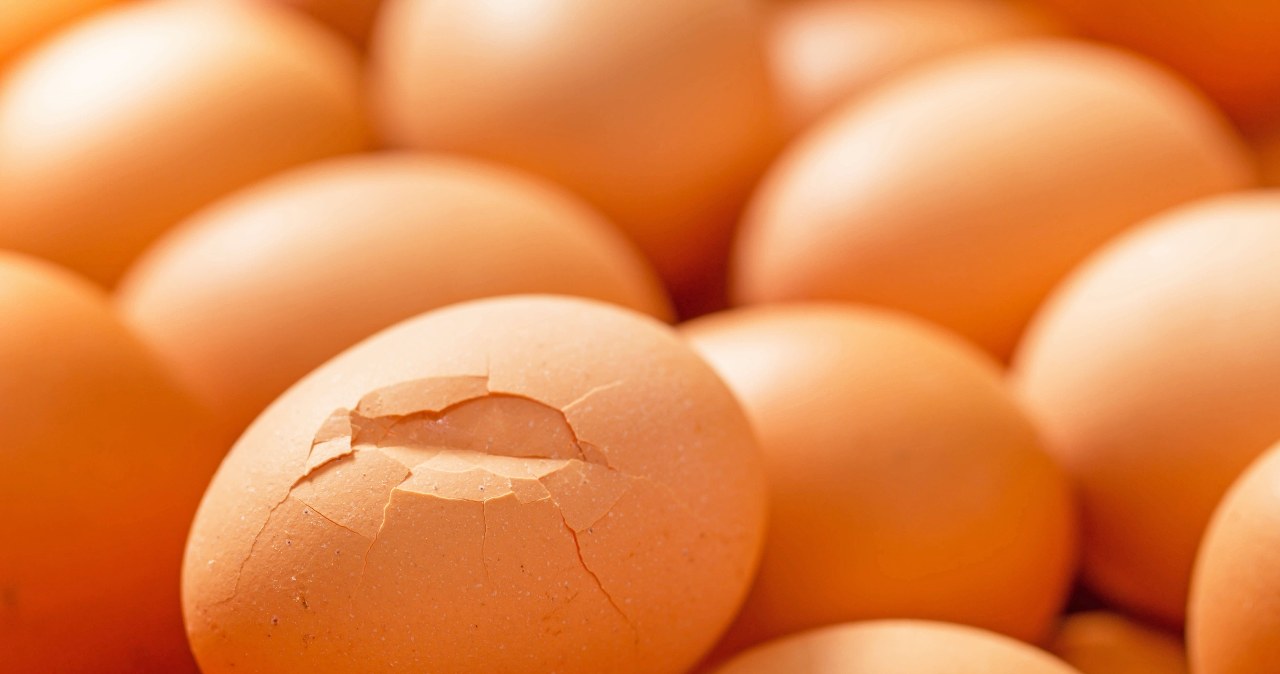 Jajka z autografem na skorupkach. Wygląd świadczy o ich jakości