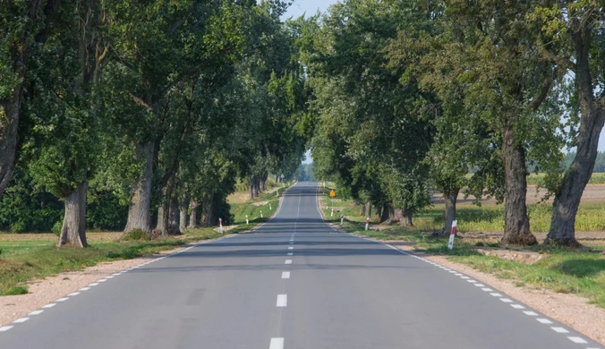 Niebezpieczne zderzenie pod Koszalinem. Na drogę wbiegły konie