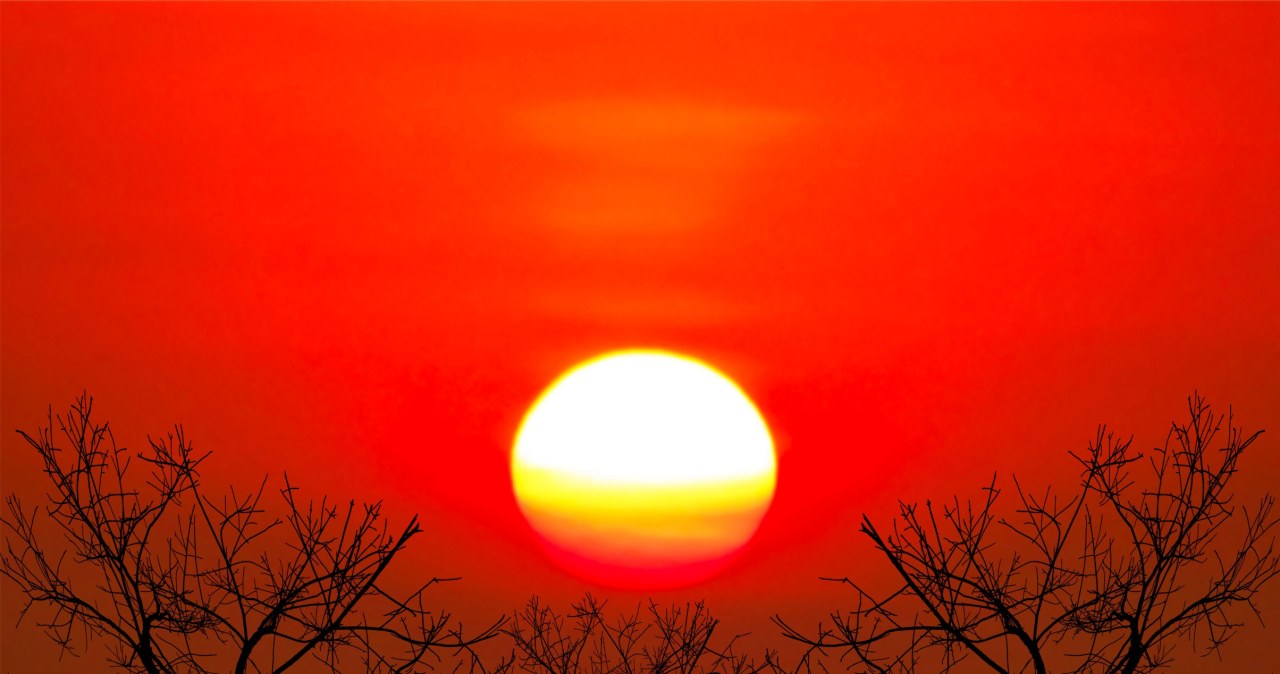 Myśleliśmy, iż 2 st. C to jeszcze nie tragedia. Badanie pokazuje coś innego