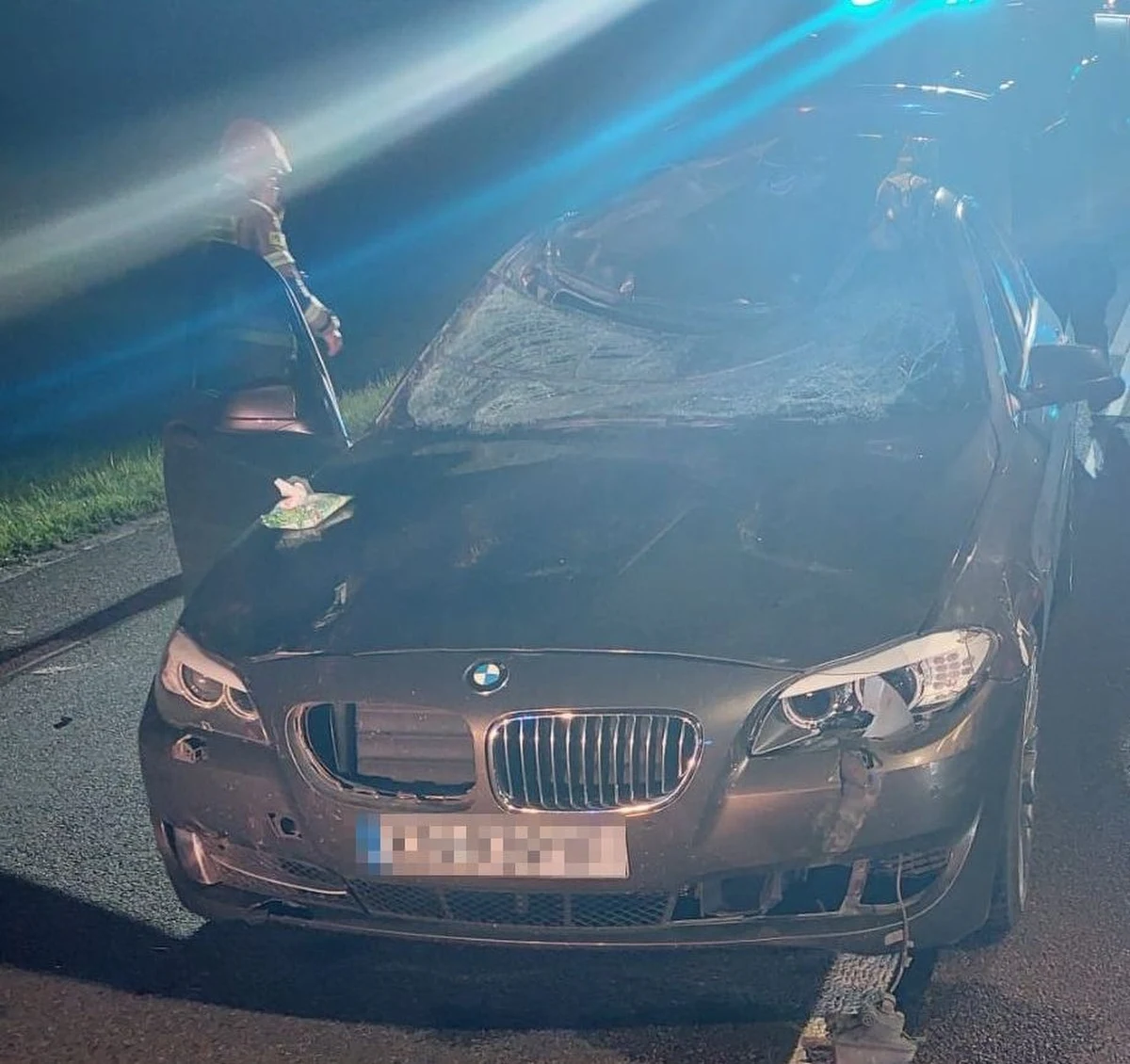 25-letni kierujący bmw miał wyjątkowego pecha. Jechał krajową 17 w Dąbrowie Tomaszowskiej ( Lubelskie) kiedy nagle na jezdnię wtargnął łoś. Kierujący i jego 24-letnia pasażerka zostali przewiezieni do szpitala. Zwierzę nie przeżyło zderzenia z pojazdem. 