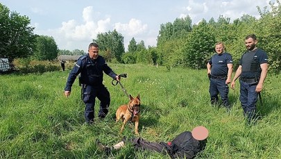 Z widłami na policjantów. Funkcjonariusze użyli paralizatora