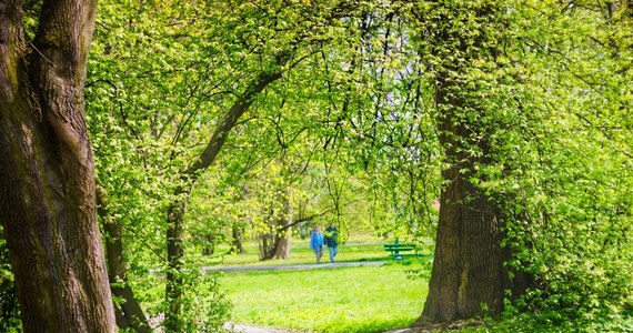 Wiosna rozgościła się w Polsce na dobre! Jak informuje IMGW, najbliższe dni przyniosą dużo słońca i temperaturę przekraczającą 20 stopni. Jedyne w piątek na południowym wschodzie spodziewane są burze z intensywnymi opadami deszczu. 