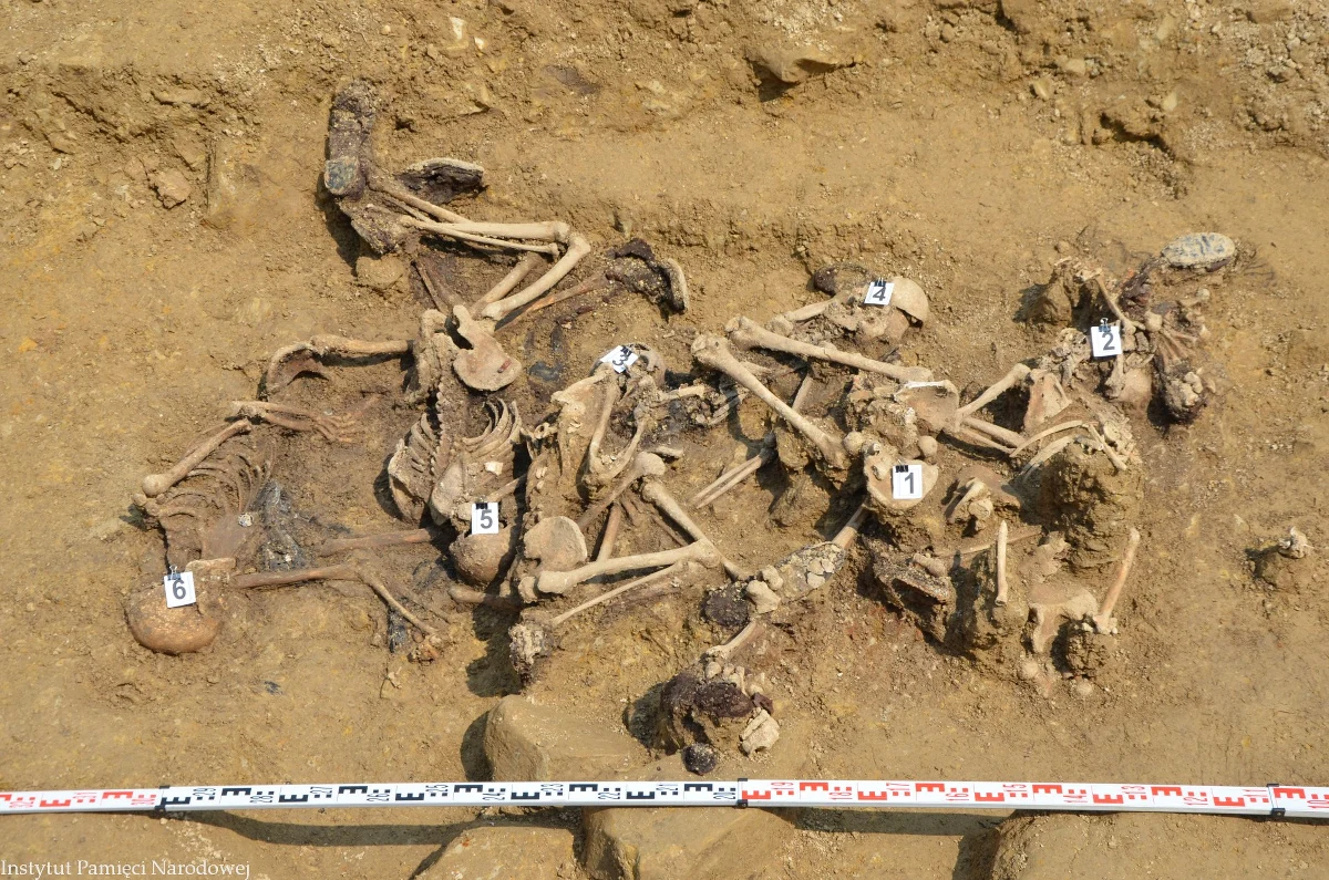 Archeolodzy znaleźli szczątki co najmniej 35 osób w rejonie Górek Czechowskich w Lublinie. Badania w tym miejscu prowadzi Instytut Pamięci Narodowej, a mają one związek z egzekucjami jakich dokonywali tam hitlerowcy w latach 1940-1942. 