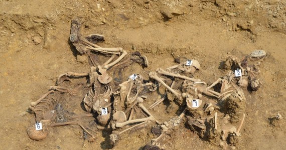 Archeolodzy znaleźli szczątki co najmniej 35 osób w rejonie Górek Czechowskich w Lublinie. Badania w tym miejscu prowadzi Instytut Pamięci Narodowej, a mają one związek z egzekucjami jakich dokonywali tam hitlerowcy w latach 1940-1942. 