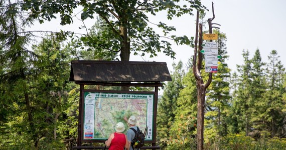 W Beskidach dziś oficjalne otwarcie wielkiej pętli beskidzkiej - The Loop. To blisko 250-kilometrowy szlak górski, który ma swój początek i koniec w Bielsku-Białej. 