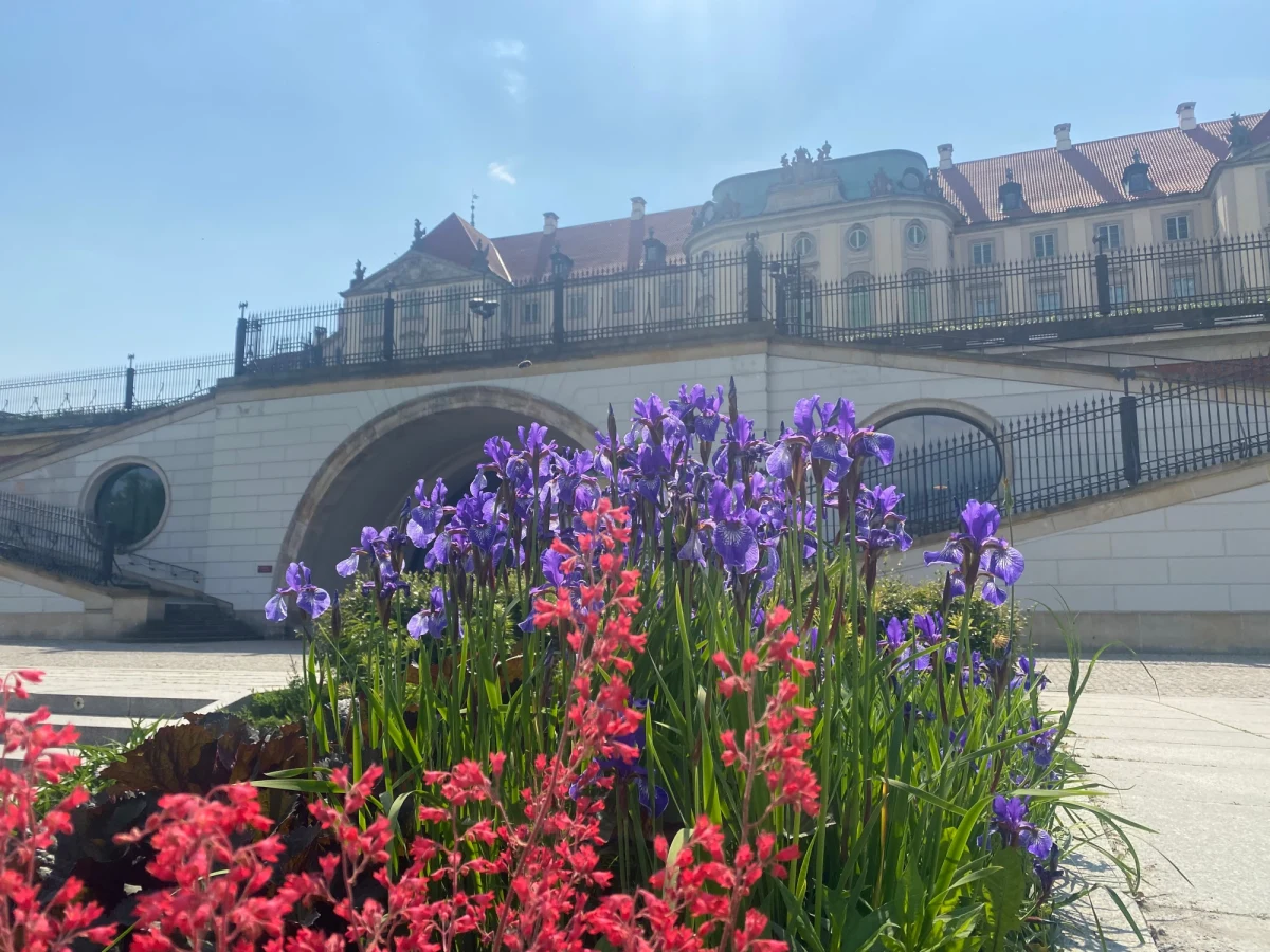 Gry i zabawy plenerowe, spektakle dla dzieci i bezpłatne zwiedzanie Zamku Królewskiego specjalną trasą, prowadzącą przez Królewskie apartamenty - to tylko kilka punktów niedzielnego pikniku jubileuszowego, jaki organizuje Zamek Królewski w Warszawie. 