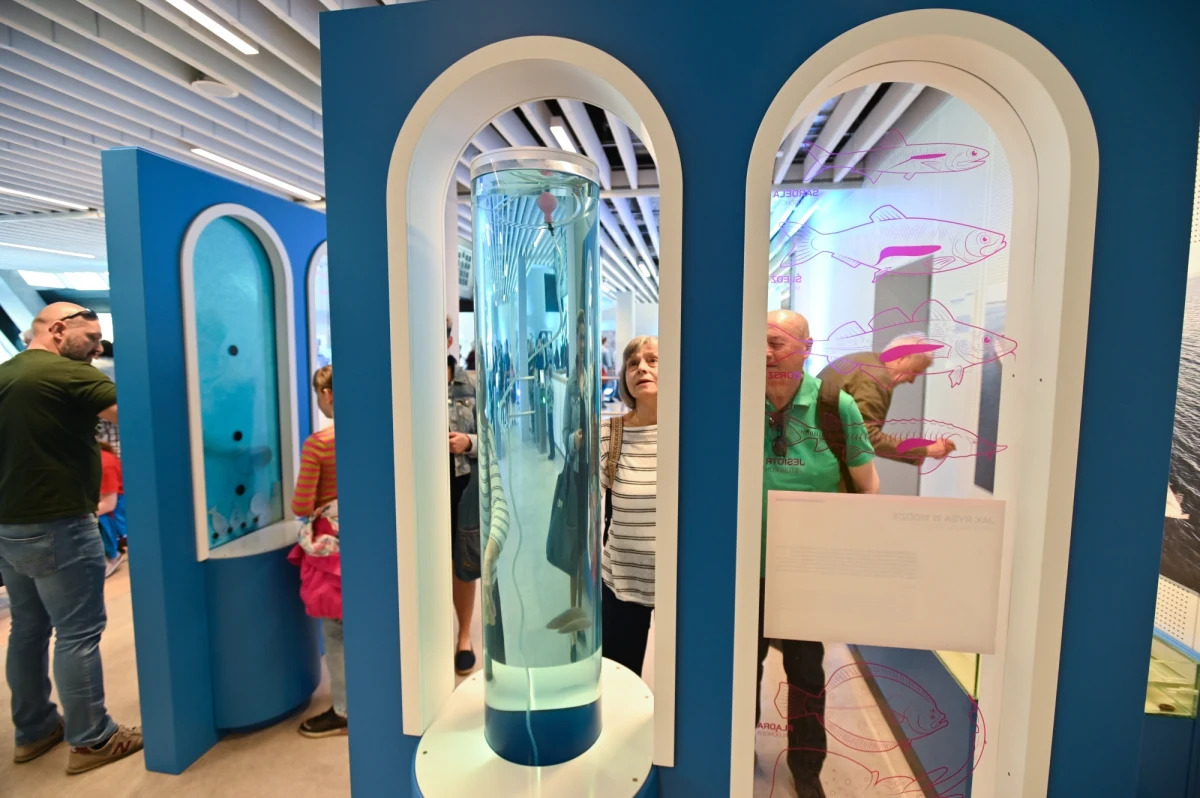 Morskie Centrum Nauki w Szczecinie zostało oficjalnie otwarte dla zwiedzających. Można tam zostać matką chrzestną statku, nauczyć się halsowania, uratować rozbitka albo spróbować słodkiej i słonej wody.