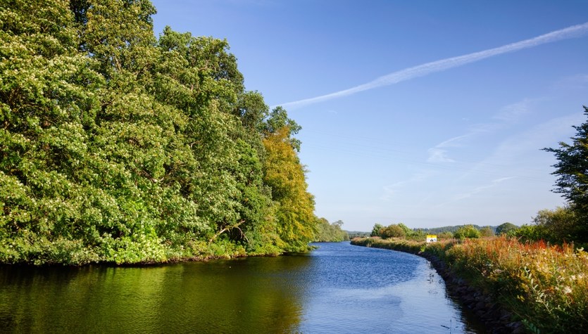 Limpiar ríos de metales pesados.  El éxito de los científicos de Inglaterra.