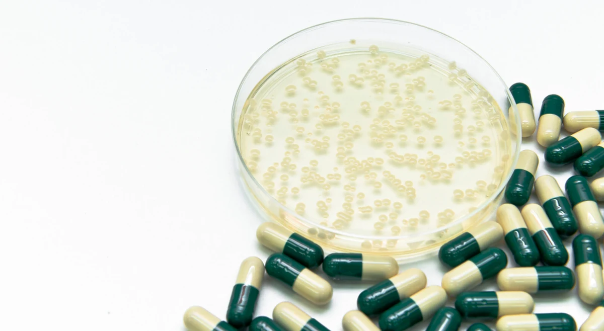 Jak poinformowano w piśmie "Nature Chemical Biology", dzięki wykorzystaniu sztucznej inteligencji udało się odkryć nowy antybiotyk, który może zwalczać zagrażający życiu gatunek superbakterii. Stworzenie krótkiej listy obiecujących substancji zajęło AI tylko półtorej godziny.