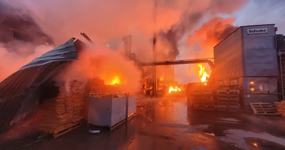 W nocy wybuchł pożar w zakładzie stolarskim zajmującym się produkcją trumien w Łubnej w woj. pomorskim. W szczytowym momencie w akcji gaśniczej uczestniczyły 32 zastępy straży pożarnej. Pożar jest już opanowany – powiedział oficer prasowy KP PSP w Chojnicach bryg. Henryk Koźlewicz.