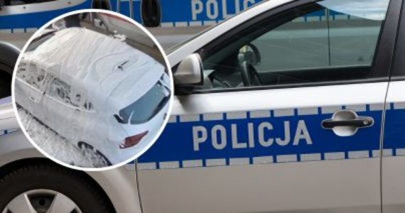 Oświęcimscy policjanci ustalają dane pary, która w piątek wieczorem w myjni samochodowej tymi samymi detergentami umyła auto i psa.      

