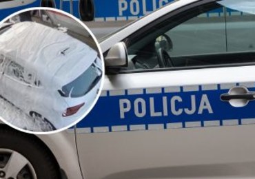​Umyli psa w myjni samochodowej. Policja szuka sprawców  