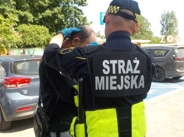 /Straż Miejska Warszawy /