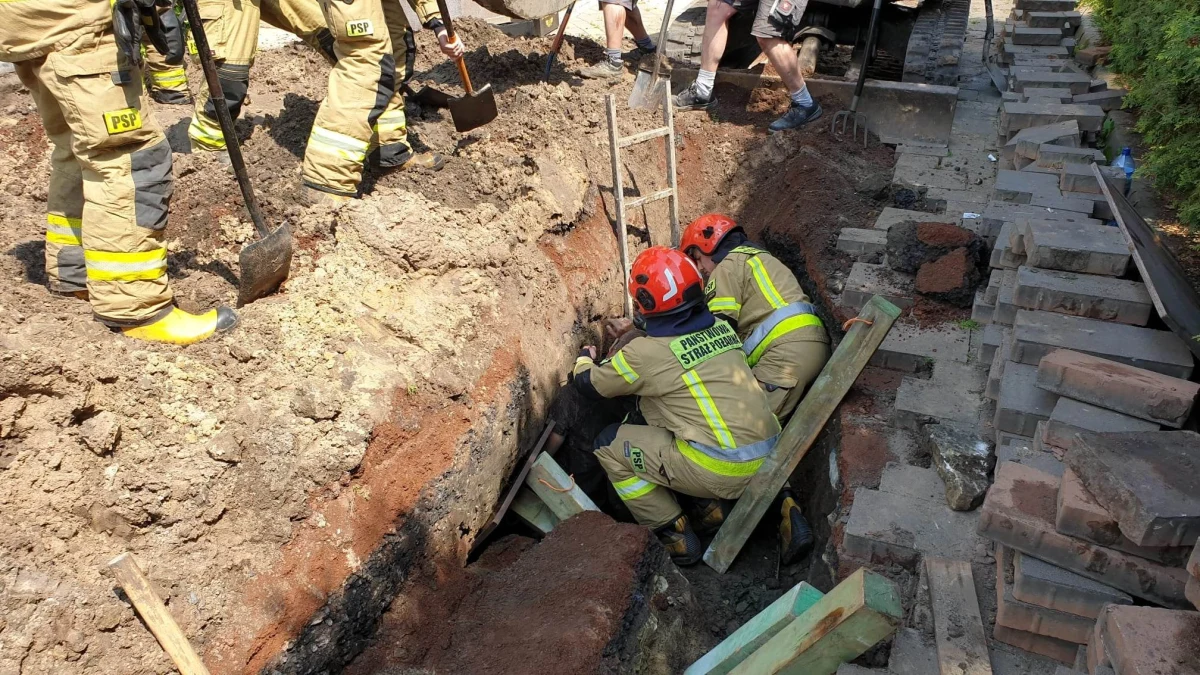 Mężczyzna został przysypany ziemią podczas prac kanalizacyjnych w Jaworznie. Wydobyli go strażacy i ratownicy górniczy. Mężczyzna trafił do szpitala.