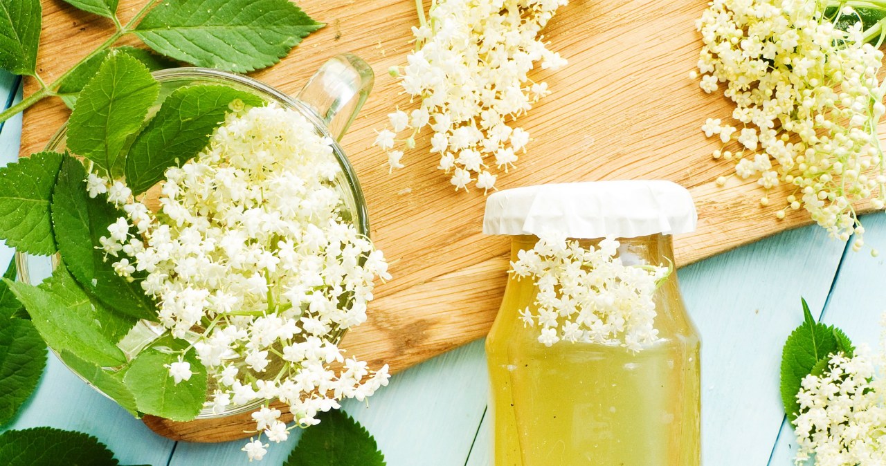 Trzy zdrowe, wiosenne syropy. Z łatwością przygotujesz w domu