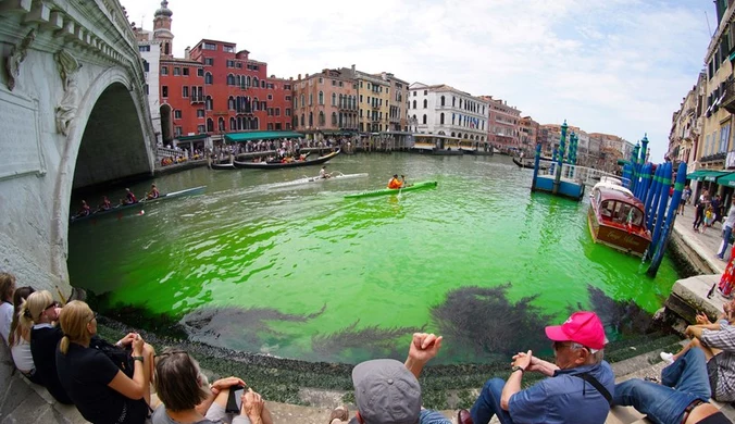 Jaskrawozielona woda w Wenecji. Ustalono przyczynę 