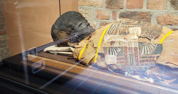 Poznańskie Muzeum Archeologiczne przygotowało prawdziwą gratkę dla miłośników starożytnego Egiptu. Wystawa pod tytułem "Mumia tajemniczej damy" dotyczy tradycyjnego egipskiego obrządku, czyli mumifikacji. Co ciekawe, w zbiorach jest prawdziwa mumia z okresu ptolemejskiego, czyli ok. II wieku przed naszą erą. 