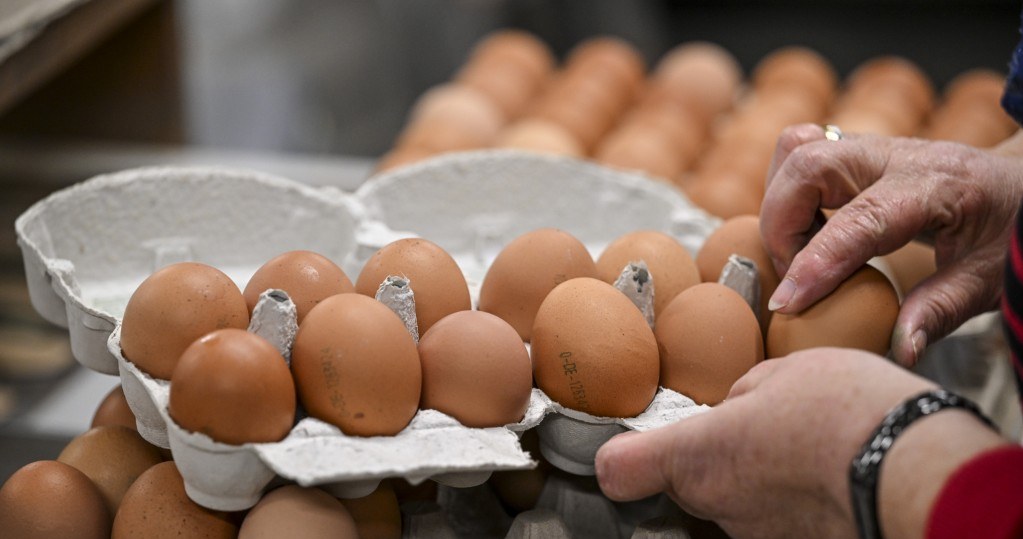 Polskie produkty będą tam zakazane? Boją się bakterii