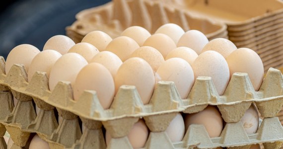 Główny Inspektorat Sanitarny wydał w środę ostrzeżenie dotyczące wykrycia bakterii salmonelli na skorupkach jaj. Spożycie jaj bez właściwej obróbki termicznej lub przeniesienie bakterii na inne powierzchnie może prowadzić do zakażenia i wystąpienia salmonellozy.