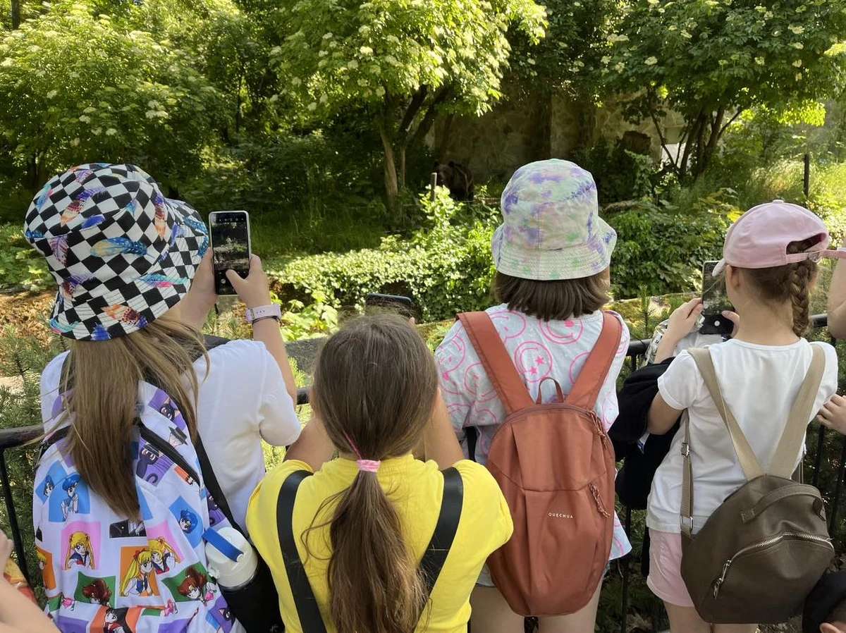 Z okazji Dnia Dziecka przy wybiegu niedźwiedzicy brunatnej we wrocławskim zoo odbyły się lekcje dla dzieci. Instytut Pamięci Narodowej przybliżył im historię misia Wojtka. Był żołnierzem II Korpusu, który towarzyszył polskim żołnierzom pod Monte Cassino.
