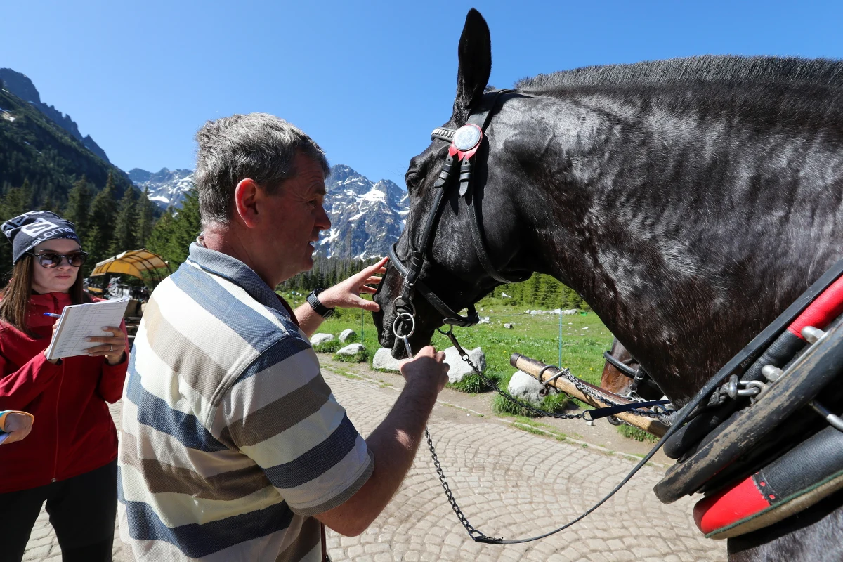 Ponad 312 koni wożących turystów na trasie do Morskiego Oka w Tatrach przechodzi w weekend szczegółowe badania. Mają one na celu sprawdzenie ich kondycji przed letnim sezonem turystycznym.