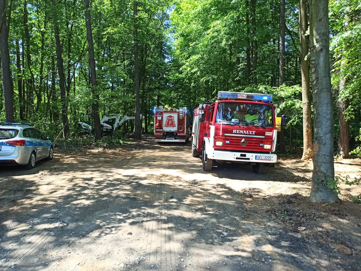 Do pożaru lasu doszło przy drodze wojewódzkiej nr 492 w powiecie kłobuckim (woj. śląskie). Nie było osób poszkodowanych.