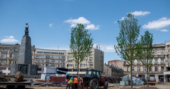 Wiązy i grusze drobnoowocowe - stworzą nową, zieloną oprawę dla placu Wolności w Łodzi i pomnika Tadeusza Kościuszki, który z wysoka spogląda na miasto. To miejsce przechodzi gruntowną przebudowę i przeobrażenie w oazę zieleni. Na placu zasadzonych zostanie ponad 60 drzew.